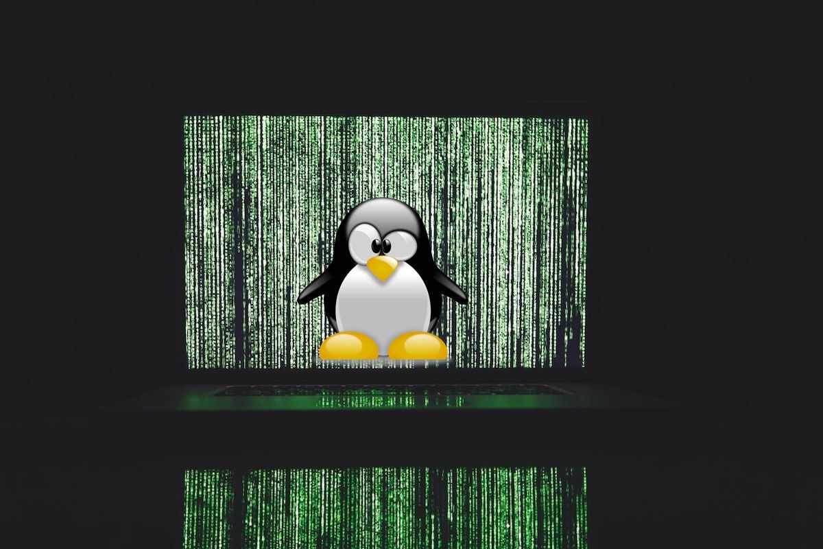 New Strain of Malicious CryptoMining software is targeting Linux Users